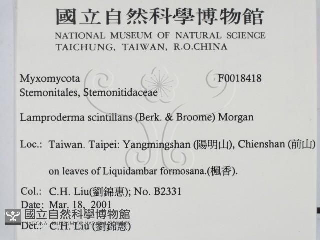 登錄號:F0018418藏品圖，第2張