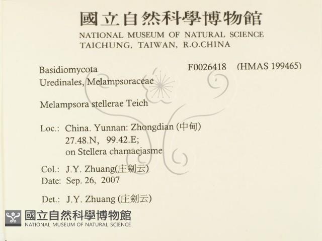 登錄號:F0026418藏品圖，第2張