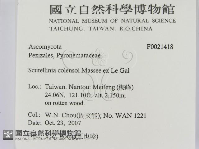 登錄號:F0021418藏品圖，第2張