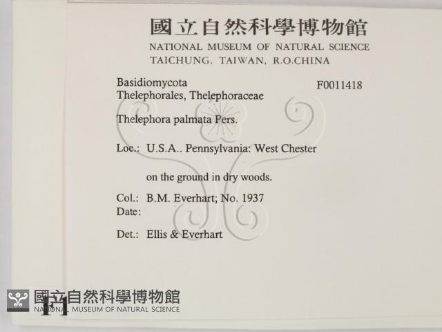 登錄號:F0011418藏品圖，第2張