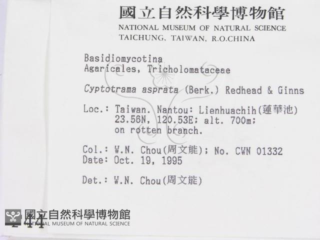 登錄號:F0004418藏品圖，第2張