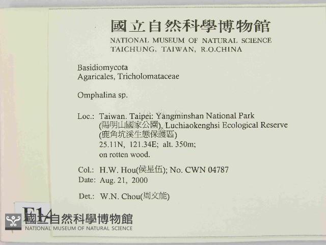 登錄號:F0014418藏品圖，第2張