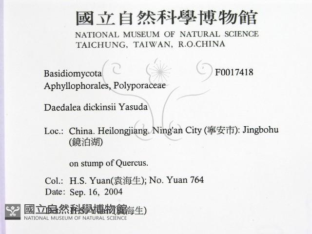 登錄號:F0017418藏品圖，第2張