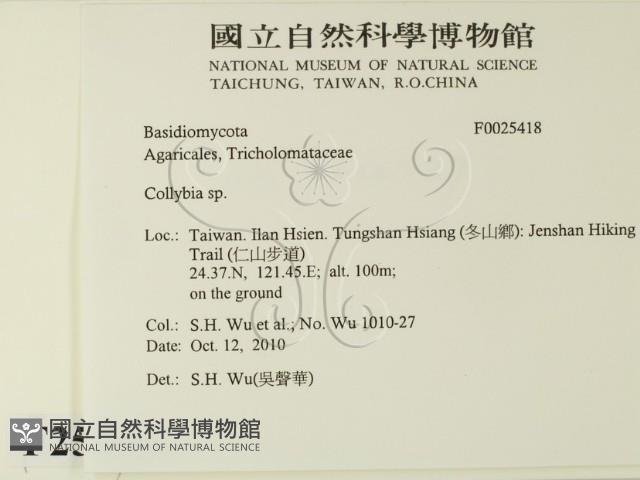 登錄號:F0025418藏品圖，第2張