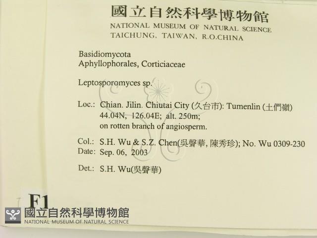 登錄號:F0015418藏品圖，第2張