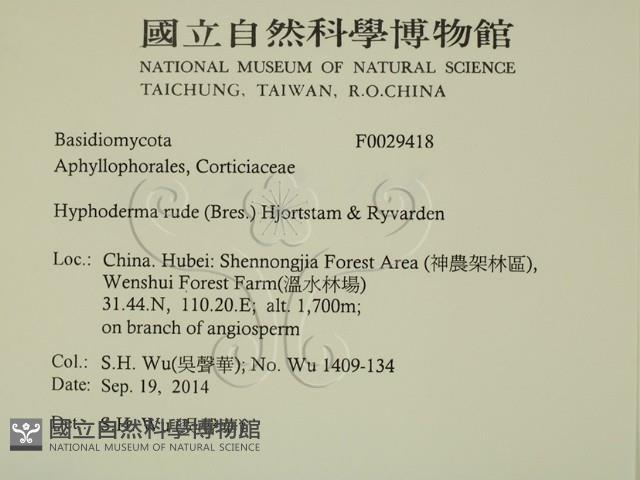 登錄號:F0029418藏品圖，第2張
