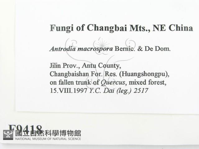 登錄號:F0009418藏品圖，第2張