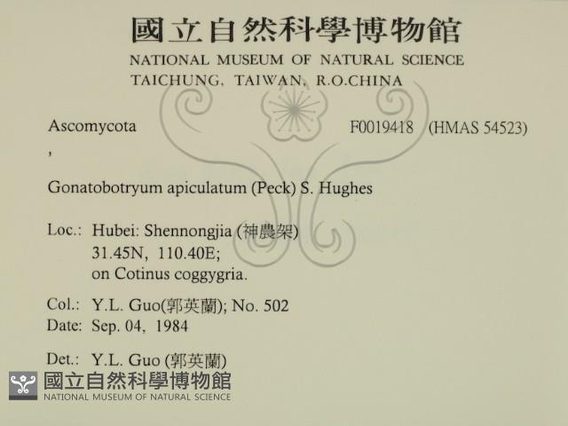 登錄號:F0019418藏品圖，第2張