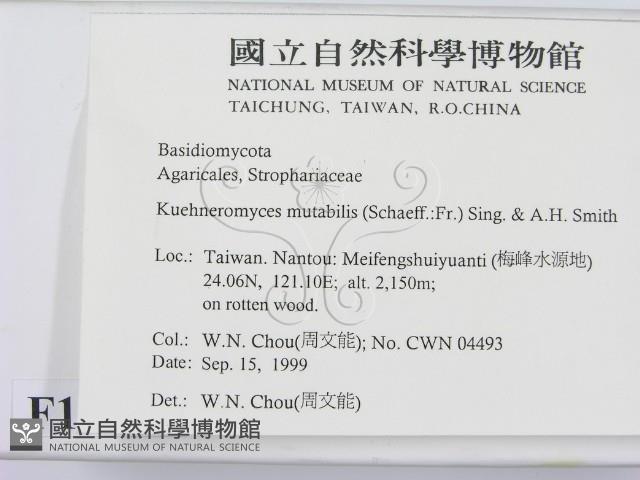 登錄號:F0013418藏品圖，第2張