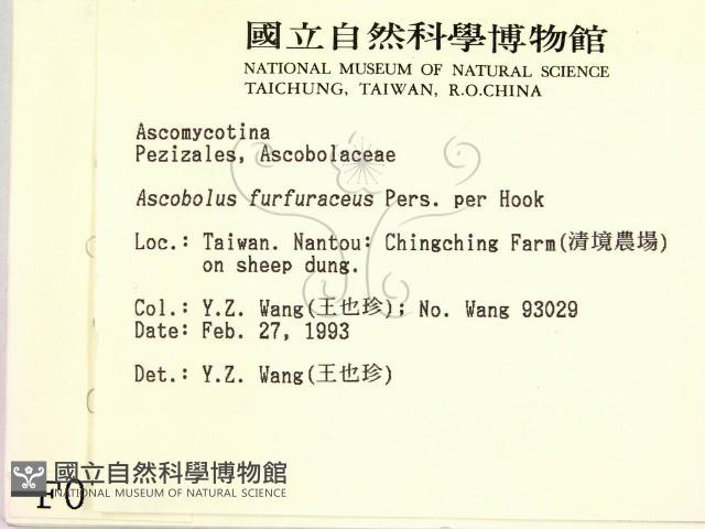 登錄號:F0000718藏品圖，第2張