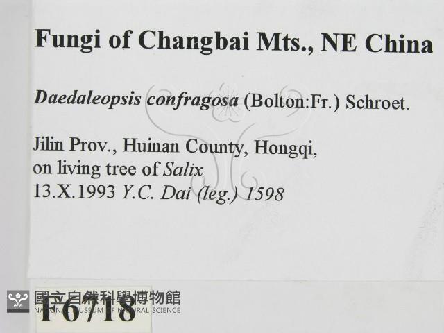 登錄號:F0006718藏品圖，第2張