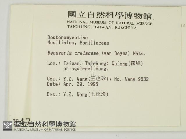 登錄號:F0004718藏品圖，第2張