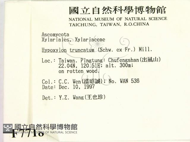 登錄號:F0007718藏品圖，第2張