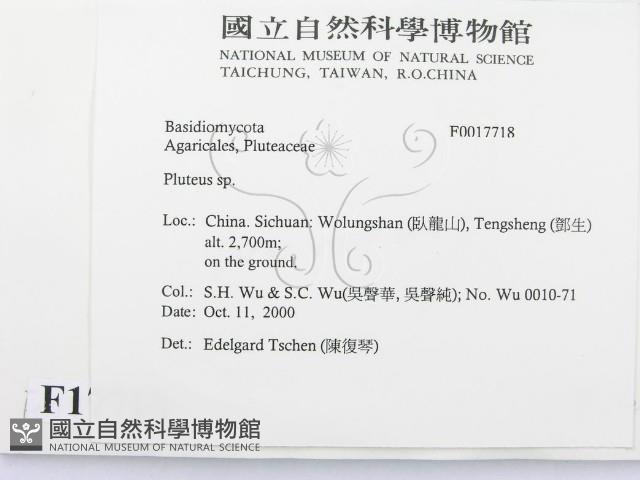 登錄號:F0017718藏品圖，第2張