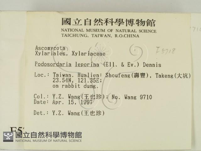 登錄號:F0005718藏品圖，第2張