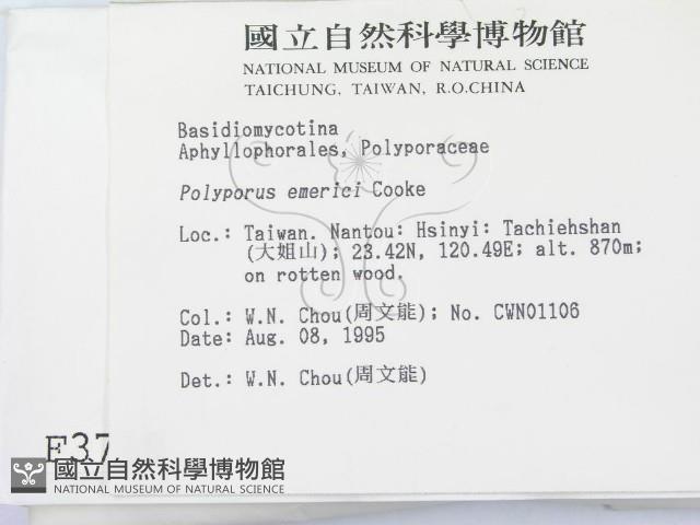 登錄號:F0003718藏品圖，第2張