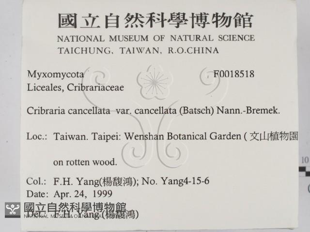 登錄號:F0018518藏品圖，第2張