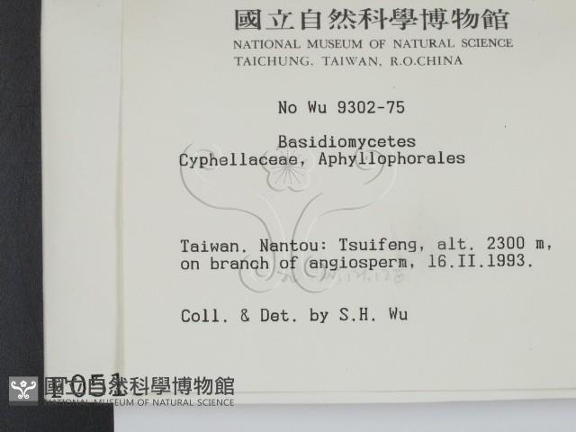 登錄號:F0000518藏品圖，第2張