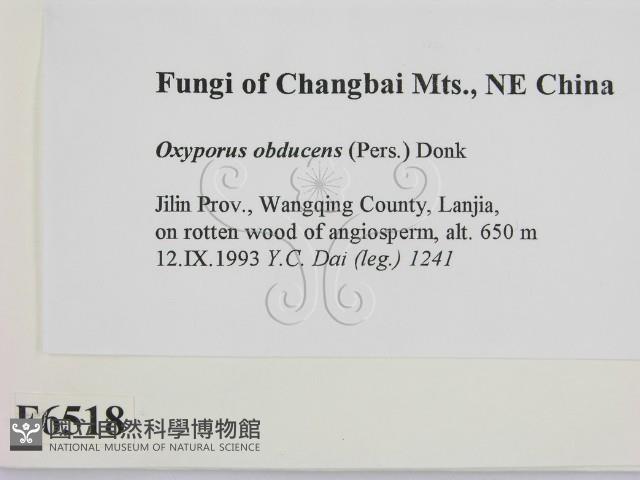 登錄號:F0006518藏品圖，第2張