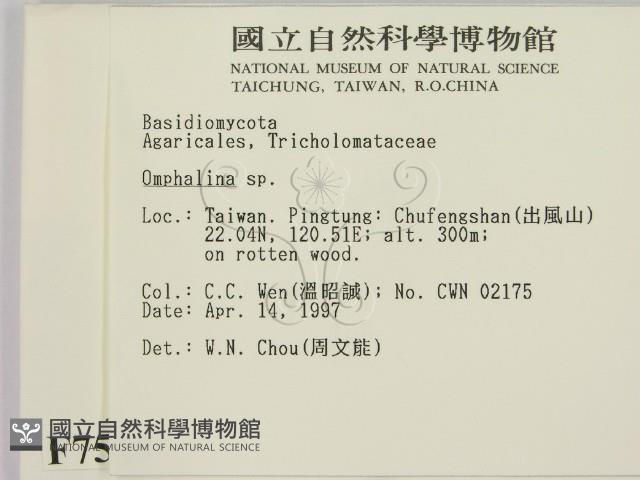 登錄號:F0007518藏品圖，第2張