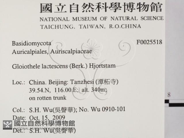 登錄號:F0025518藏品圖，第2張