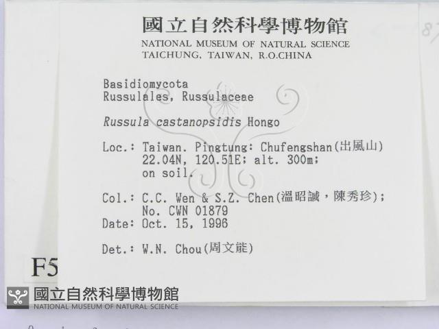 登錄號:F0005518藏品圖，第2張