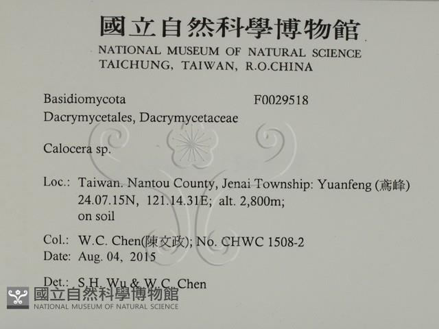 登錄號:F0029518藏品圖，第2張