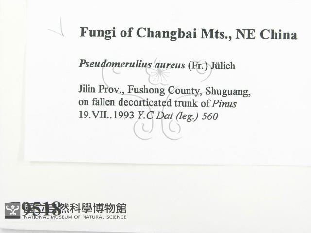 登錄號:F0009518藏品圖，第2張