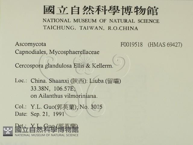 登錄號:F0019518藏品圖，第2張