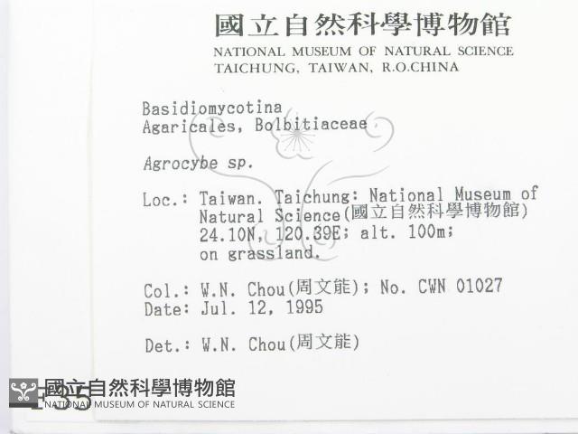 登錄號:F0003518藏品圖，第2張