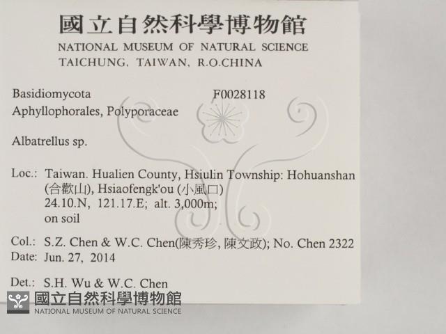 登錄號:F0028118藏品圖，第2張