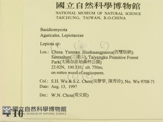 登錄號:F0010118藏品圖，第2張