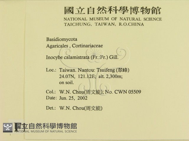 登錄號:F0016118藏品圖，第2張
