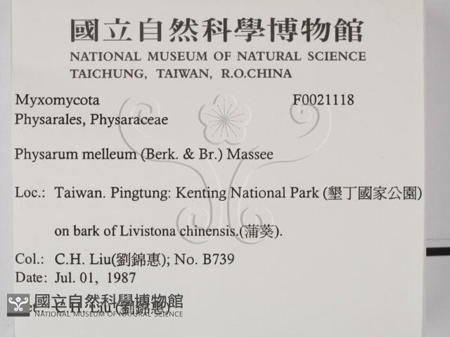 登錄號:F0021118藏品圖，第2張