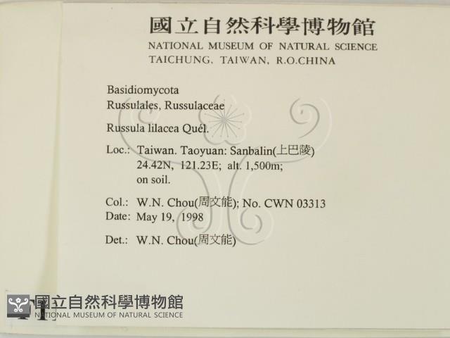 登錄號:F0011118藏品圖，第2張