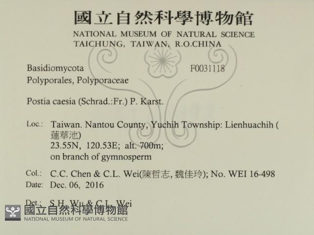 登錄號:F0031118藏品圖，第2張