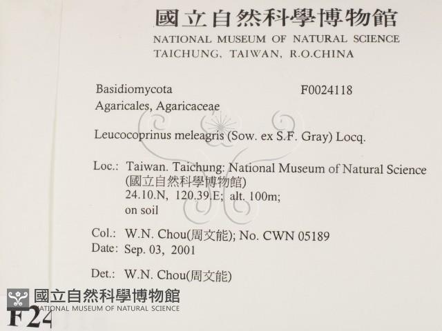 登錄號:F0024118藏品圖，第2張