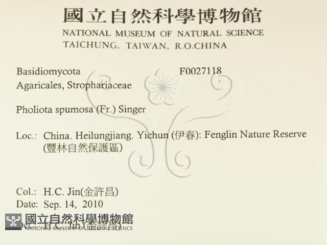 登錄號:F0027118藏品圖，第2張