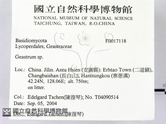 地星屬藏品圖，第2張