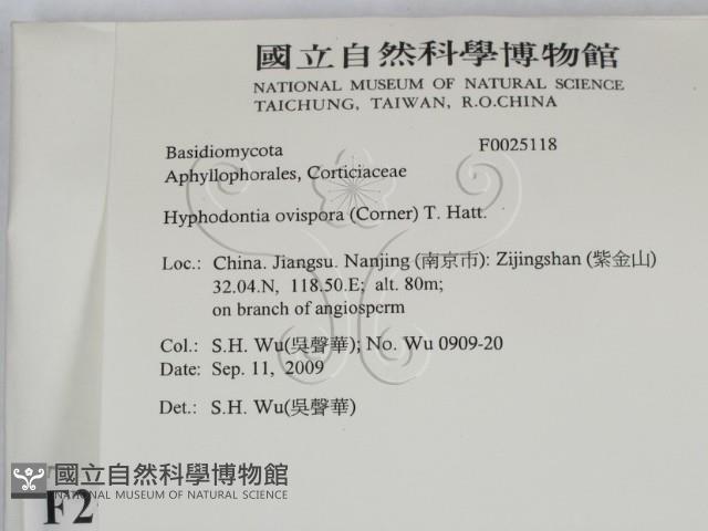 登錄號:F0025118藏品圖，第2張