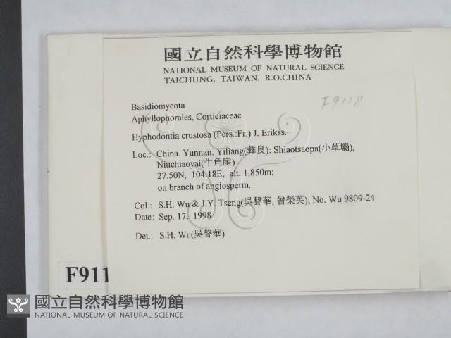 登錄號:F0009118藏品圖，第2張