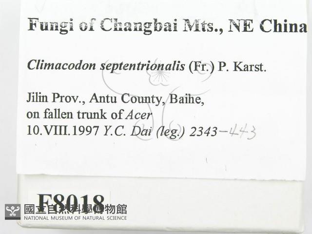 登錄號:F0008018藏品圖，第2張