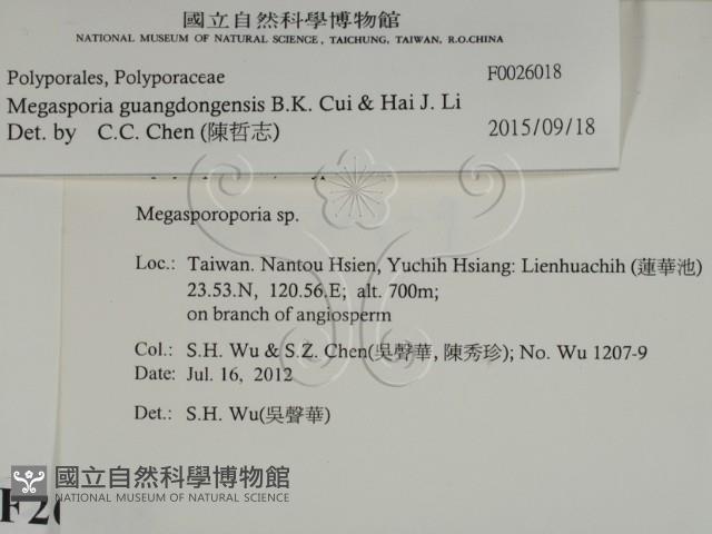 登錄號:F0026018藏品圖，第2張