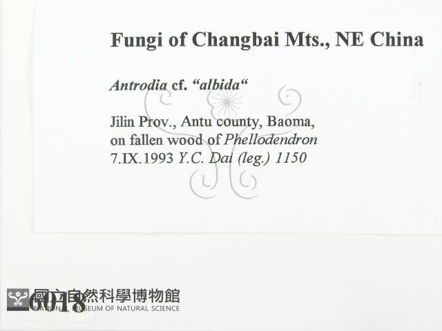 登錄號:F0006018藏品圖，第2張