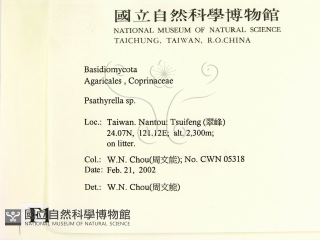 登錄號:F0016018藏品圖，第2張