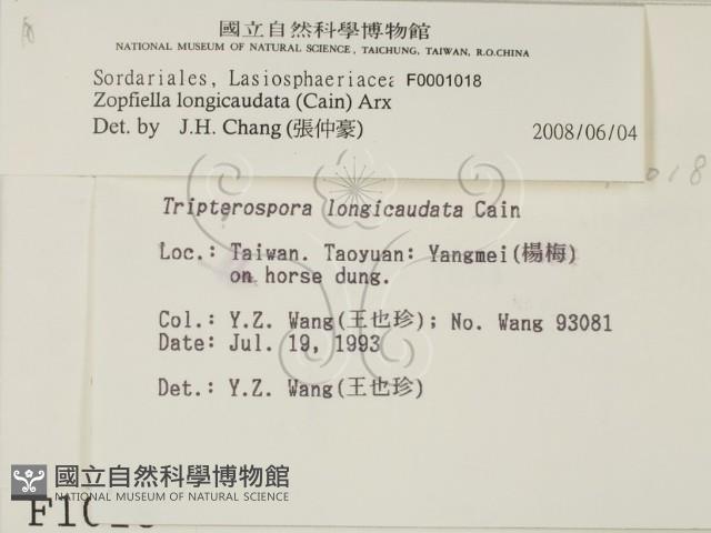 登錄號:F0001018藏品圖，第2張