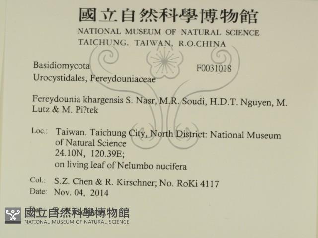 登錄號:F0031018藏品圖，第2張