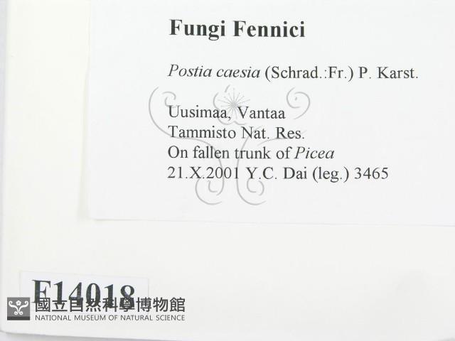 登錄號:F0014018藏品圖，第2張