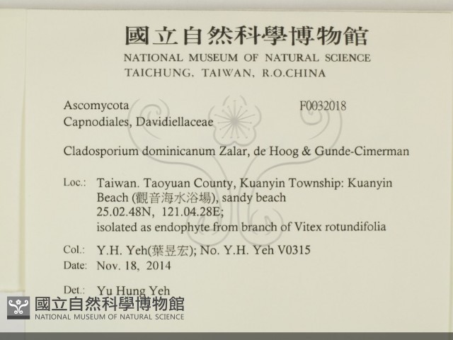 登錄號:F0032018藏品圖，第2張