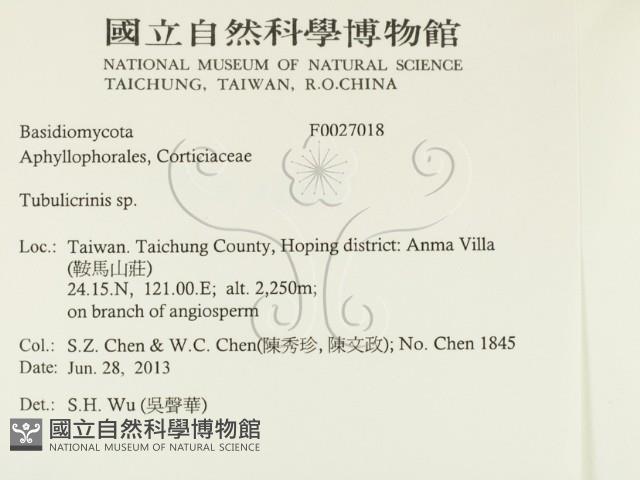 登錄號:F0027018藏品圖，第2張